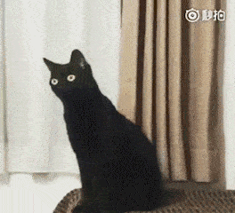 264_240gif 动态图 动图