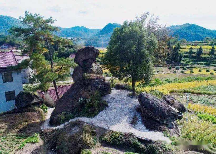 农学资讯薪火相传星火燎原红色传承天台县洪畴镇天和村调研1