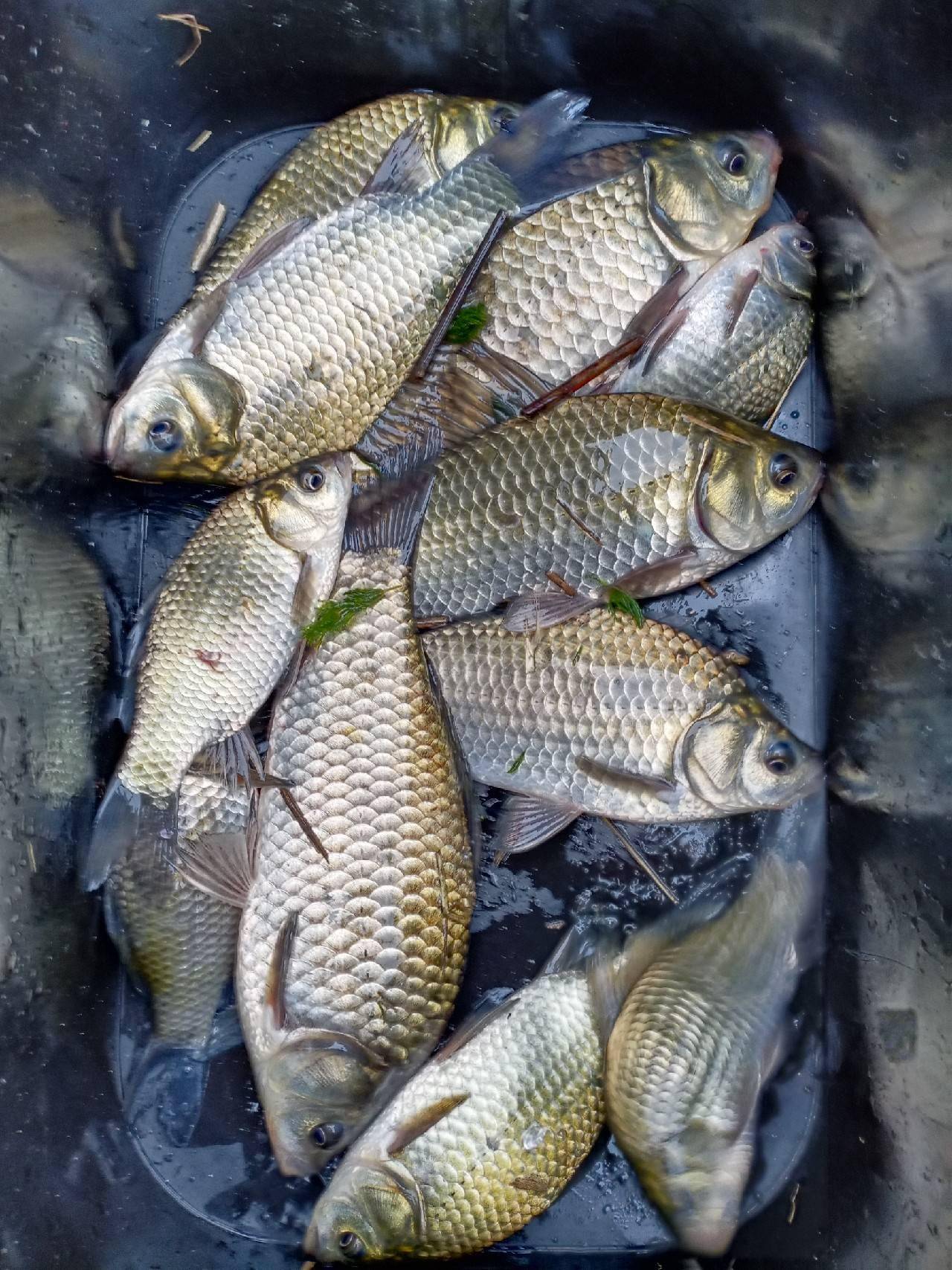 失败乃成功之母总结上次经验这次一定爆护