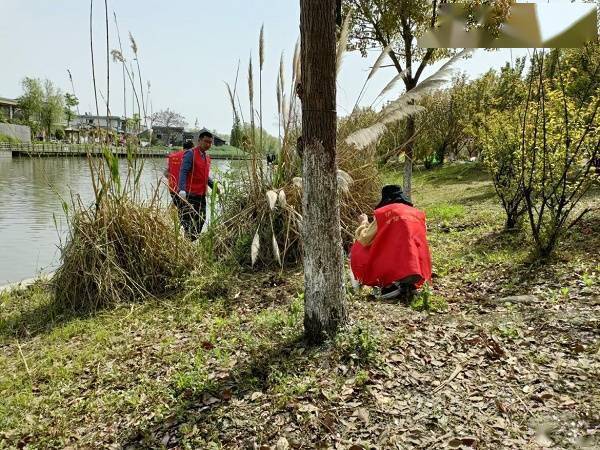 深度|姜堰三水街道“河长制”助力打造乡村振兴特色样板区