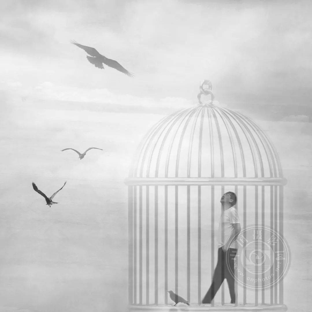 摄影|2021丽水摄影节 | 《疫惑》王东摄影作品展