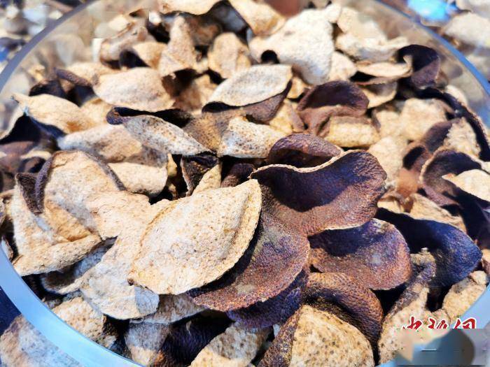 陈化五年的"大红皮" 李小春 摄