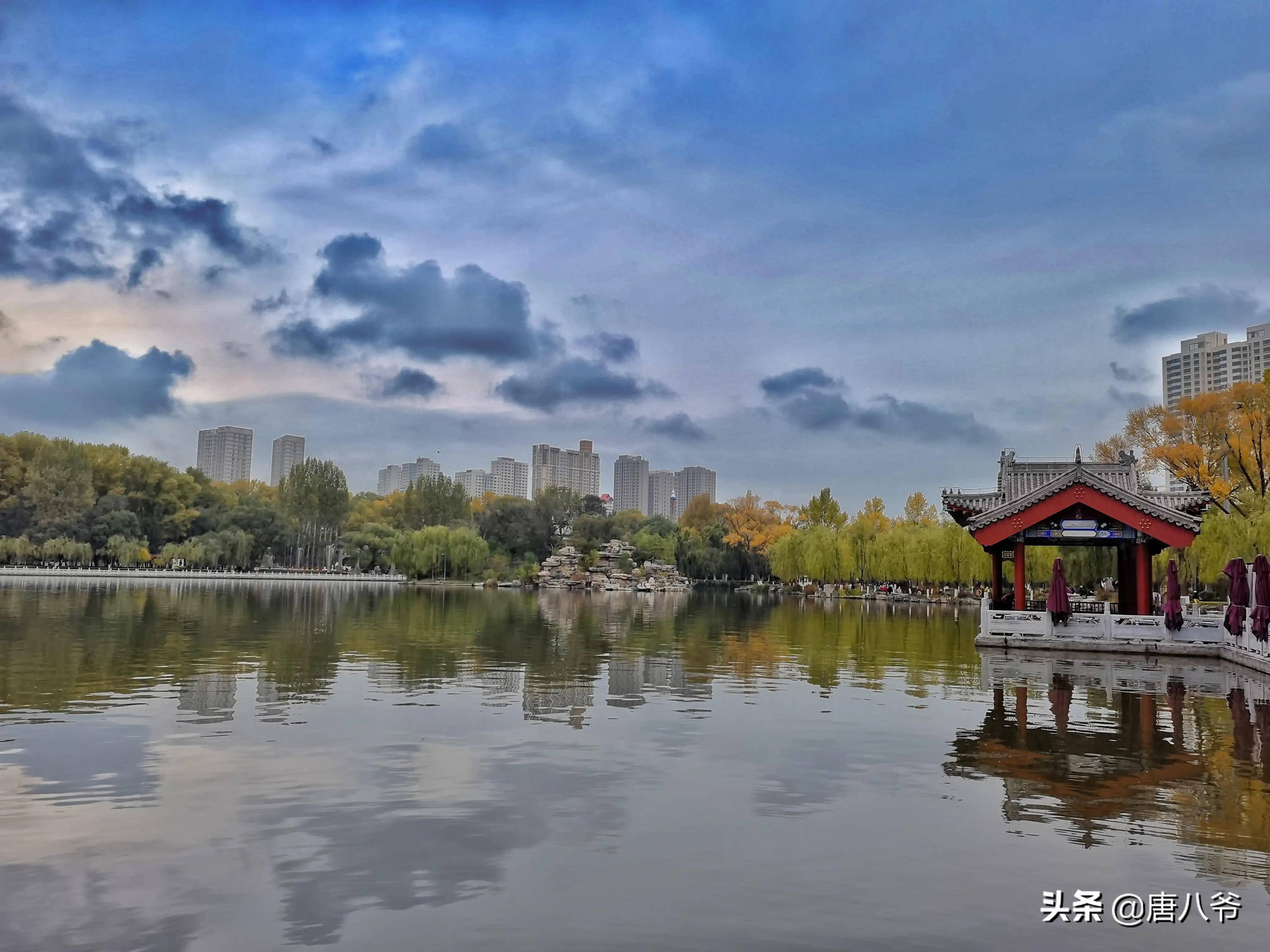 秋日的西寧人民公園在淡泊平靜的秋色中蘊藏著嫵媚成熟的美