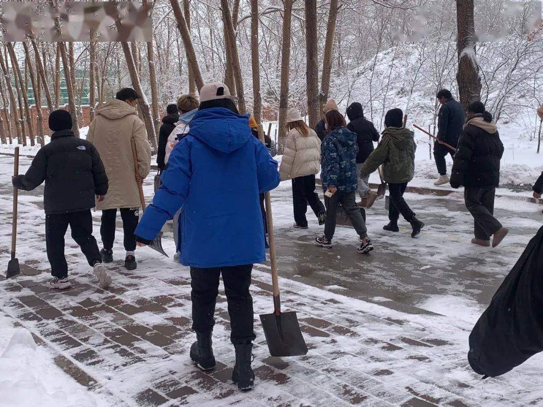 中文纪实|师生齐扫雪,寒冬暖意浓 ——黑龙江外国语学院中文系组织