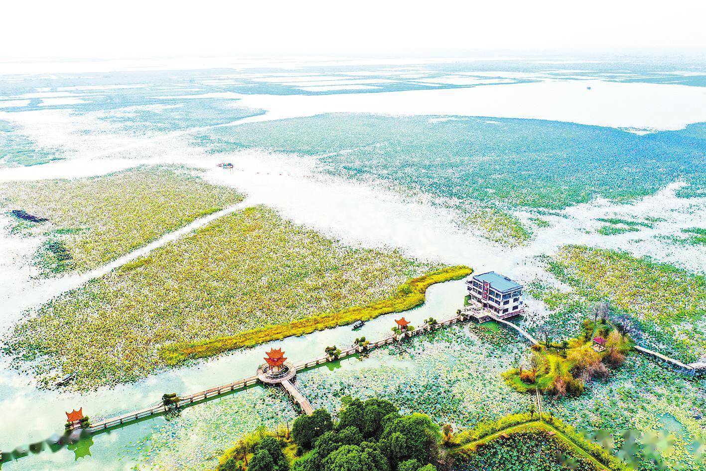 江汉|退垸还湖汉川汈汊湖扩大20倍