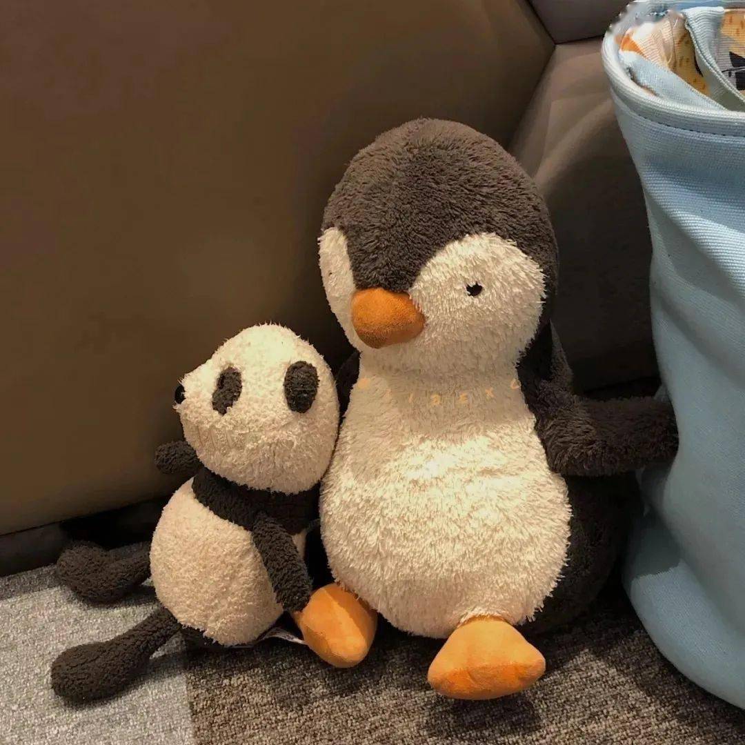 这组微信头像太哇塞了_背景图