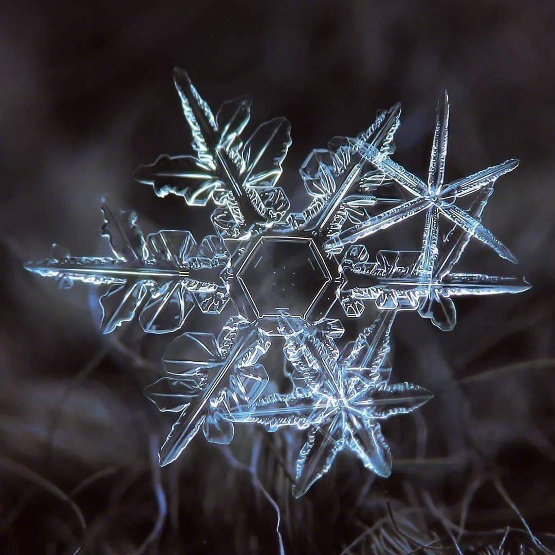 雪花神奇！他用显微镜100倍拍摄雪花，引上万人围观：好美~