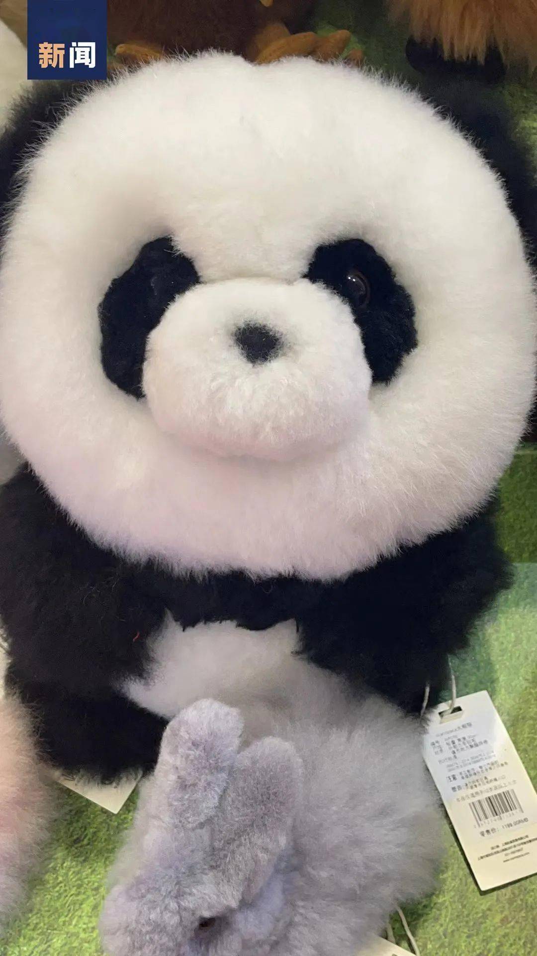 秘鲁|开眼了→