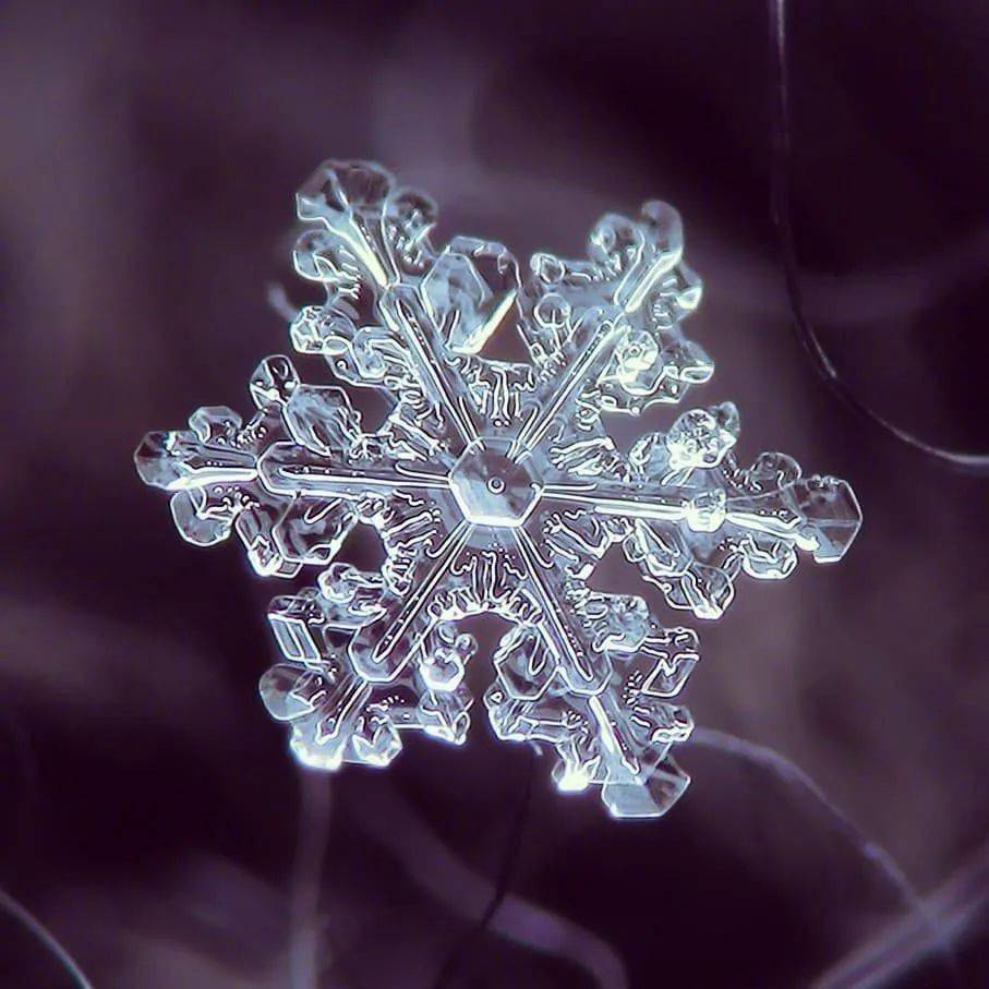 神奇！他用显微镜100倍拍摄雪花，引上万人围观：好美~
