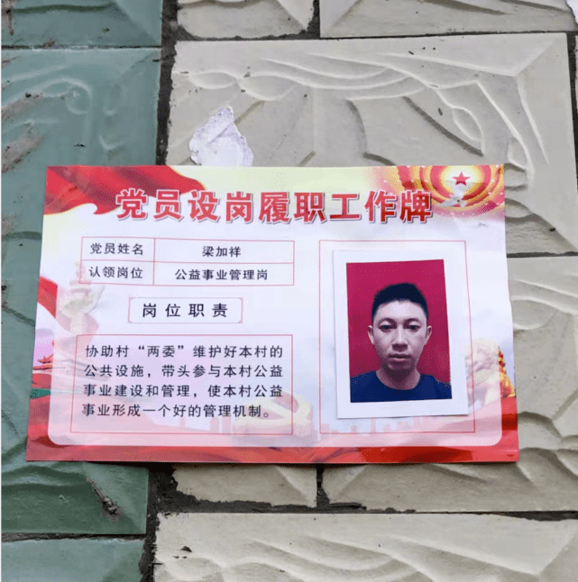 民主推荐,村党支部审核,公示定岗等程序,确定上岗党员和岗位名称,力争