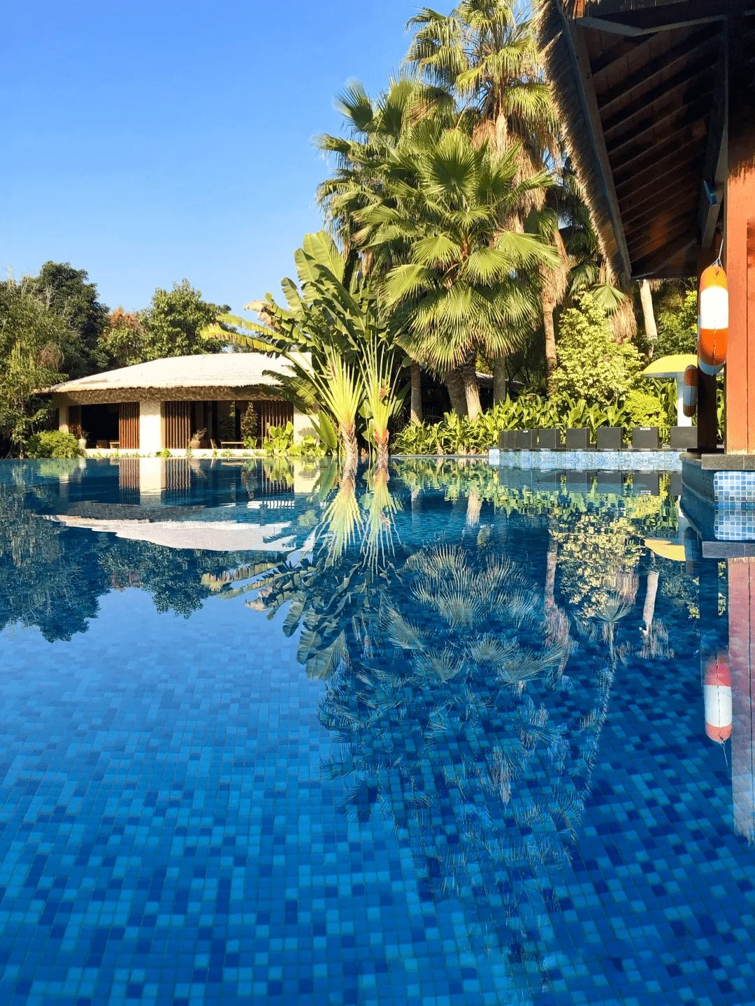 「双十一宠粉·限量抢购」长泰半月山温泉酒店特惠来袭!