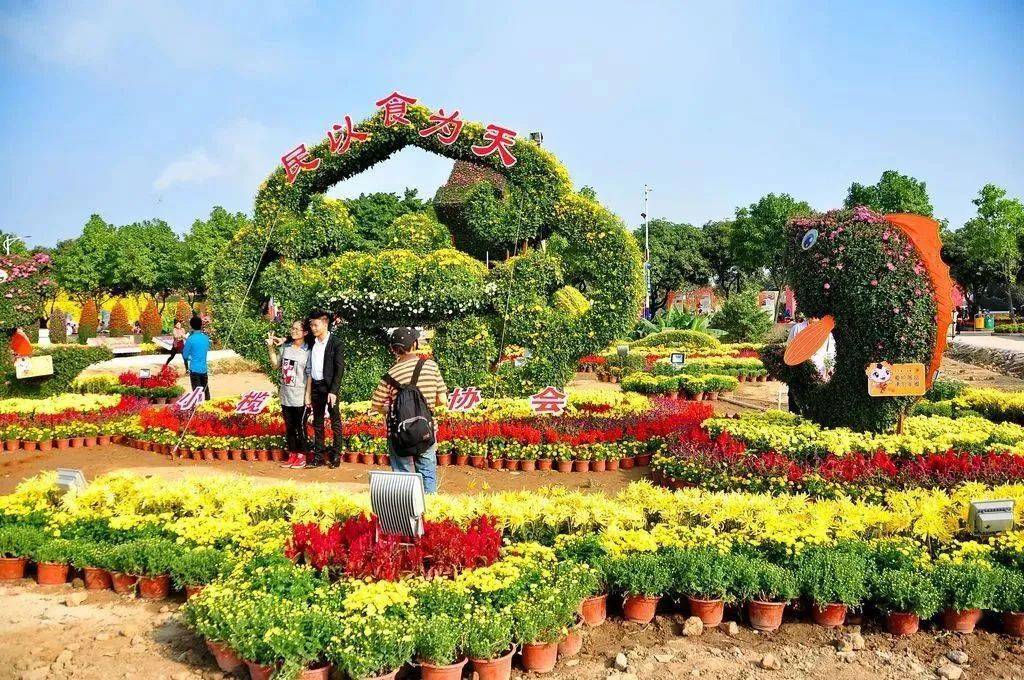 观中山菊展探仙踪龙园地下河溶洞豪食澳洲龙虾鲍鱼宴美食两天游成人只