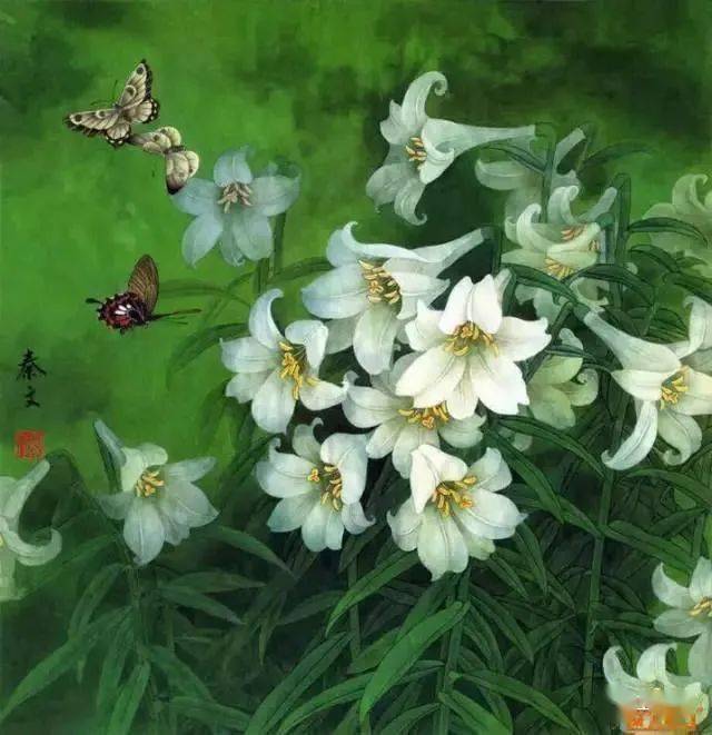 一组 清新脱俗 的工笔百合花!很雅!很美!_画法