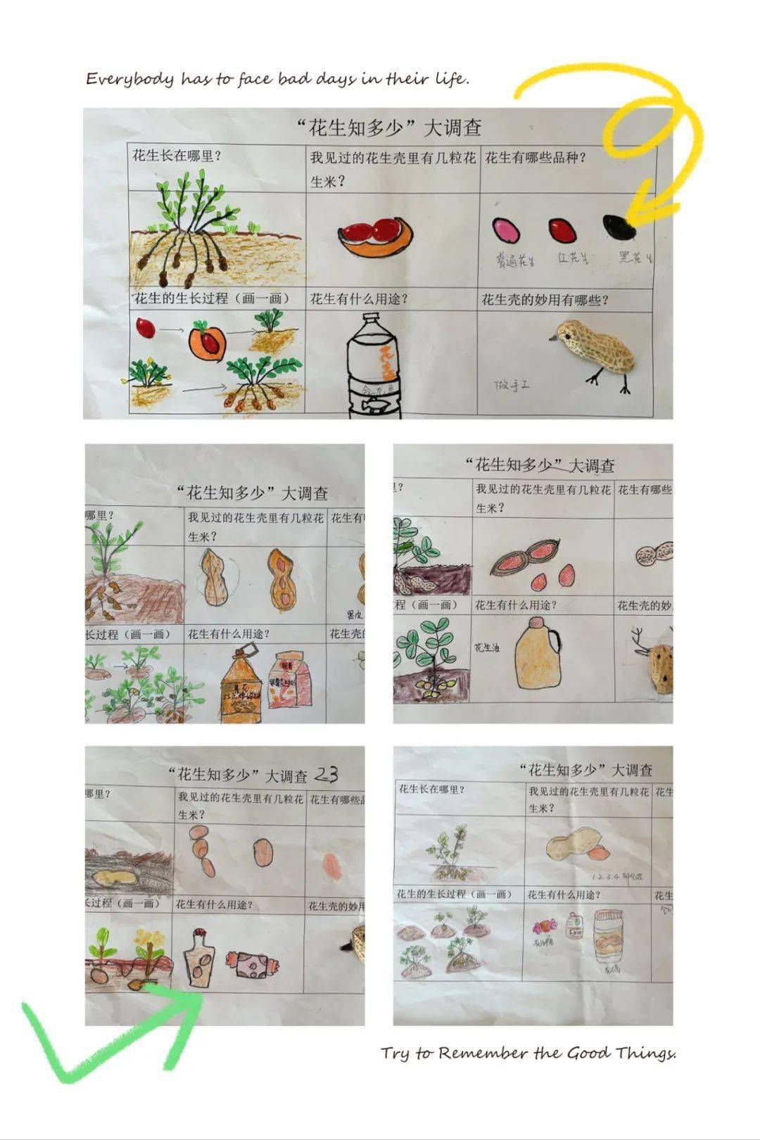 【园本课程·秋意正浓时】落花有生_花生米