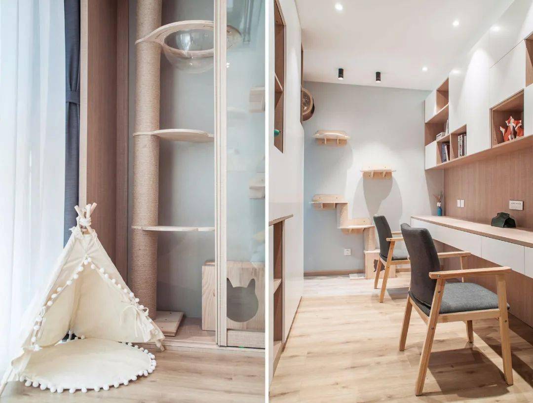 养宠物的住宅应该这样设计