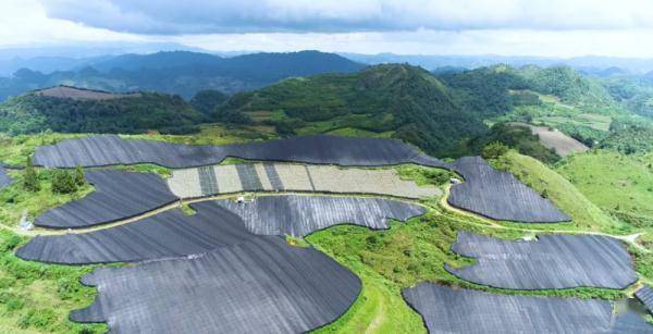 历史|文山三七宣传片——《时光里的三七》