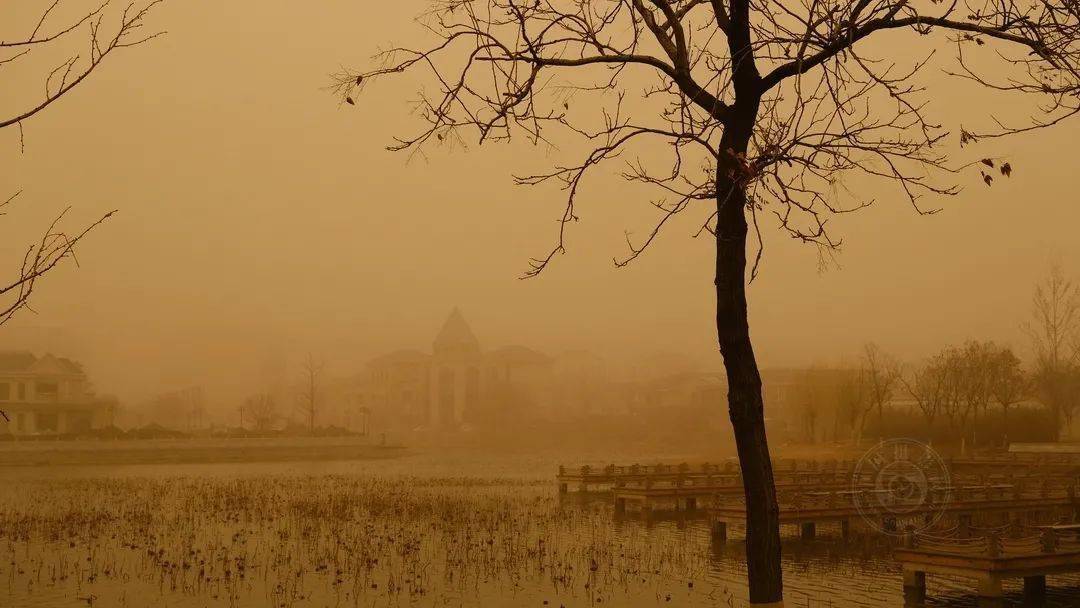 作品展|2021丽水摄影节 | 《迷?沙》王玉甫摄影作品展