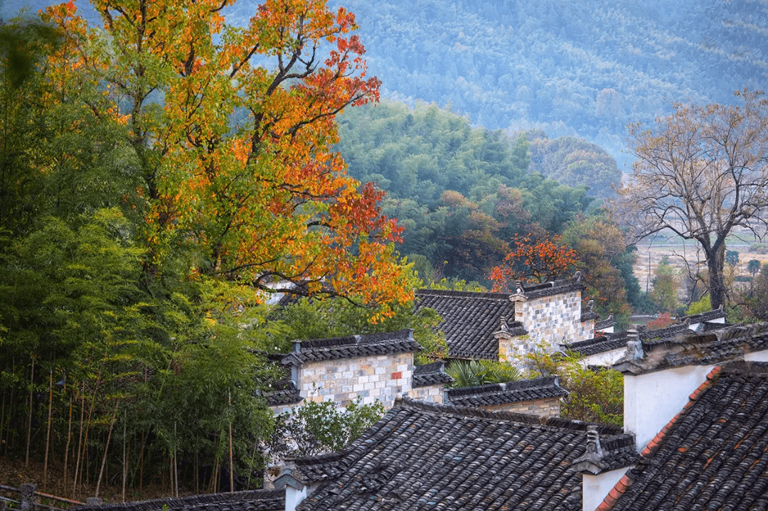 秋冬皆是温柔, 塔川尤其浪漫_黟县