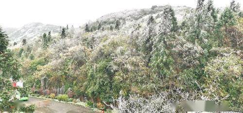 入冬后的第一场雪，川渝两地这些景点美翻了！