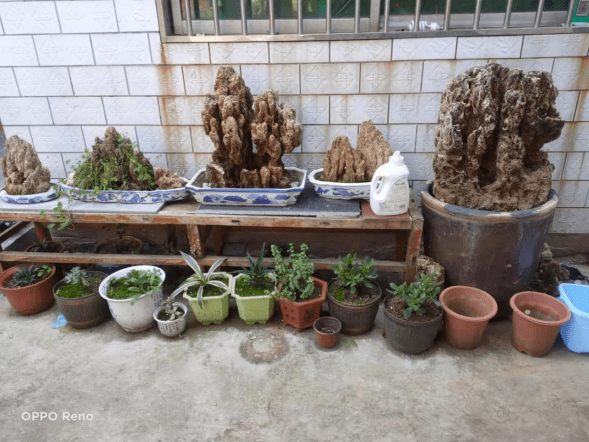 蟒川镇戴湾村戴平平庭院#5陵头镇杨楼沟村孟彩霞庭院#4临汝镇临东村