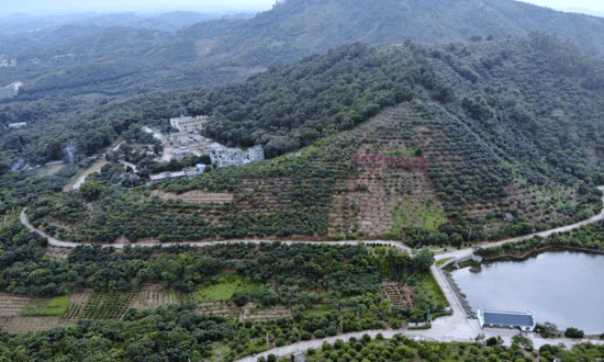 北通鎮地處浦北縣西南部,距浦北縣城35公里,欽浦二級公路貫穿全境