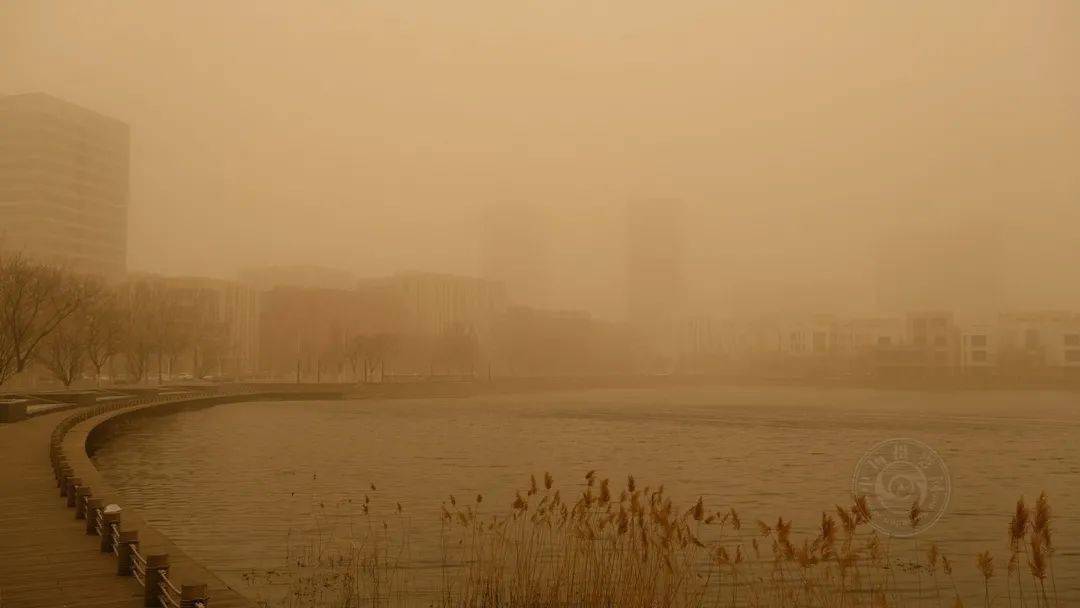 作品展|2021丽水摄影节 | 《迷?沙》王玉甫摄影作品展