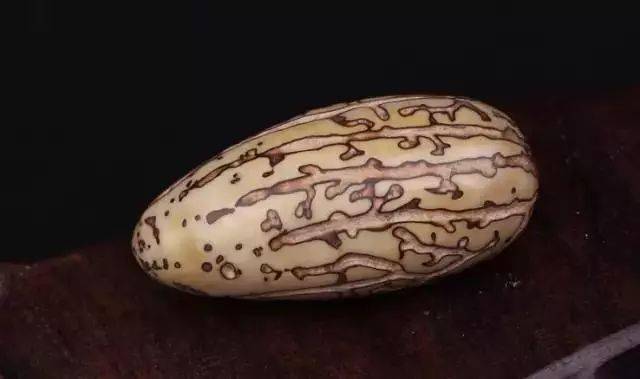 千眼菩提这样玩出来那叫一个漂亮