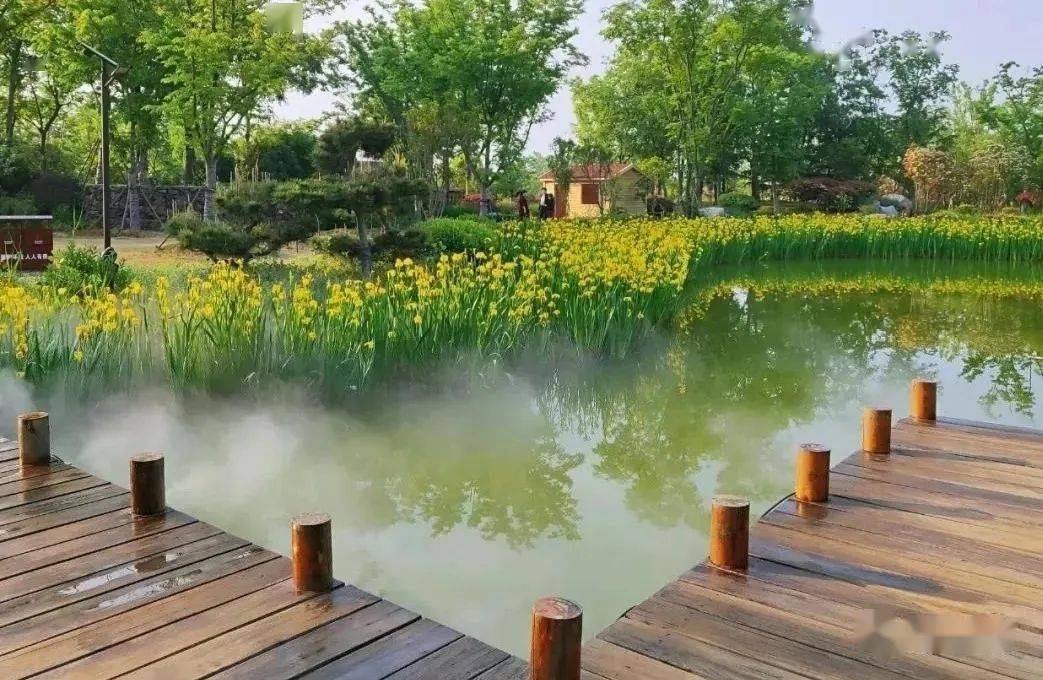 畅游花乡④跟着历史名人游沭阳