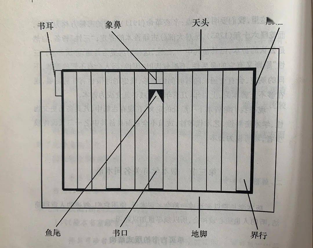 趣说古籍|提问达人唐小宝探秘古籍"版式结构"那些事儿