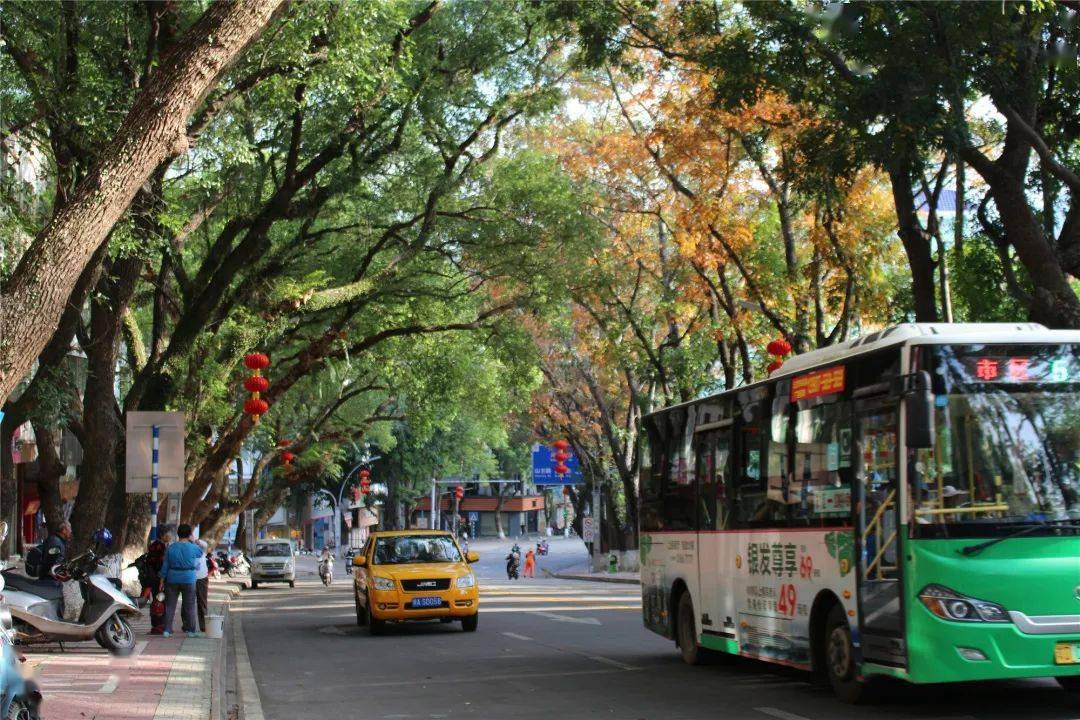 五指山市拍了拍你来过个温暖的冬天吗宝