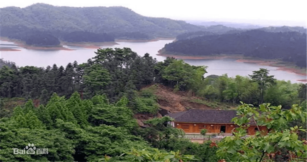 邵东有这样一个镇,全国出名,你去过吗?_九龙岭镇