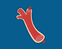 并发症|【知识】每10个成年人就有1人中招，下一个被糖尿病“盯”上的会不会是你？