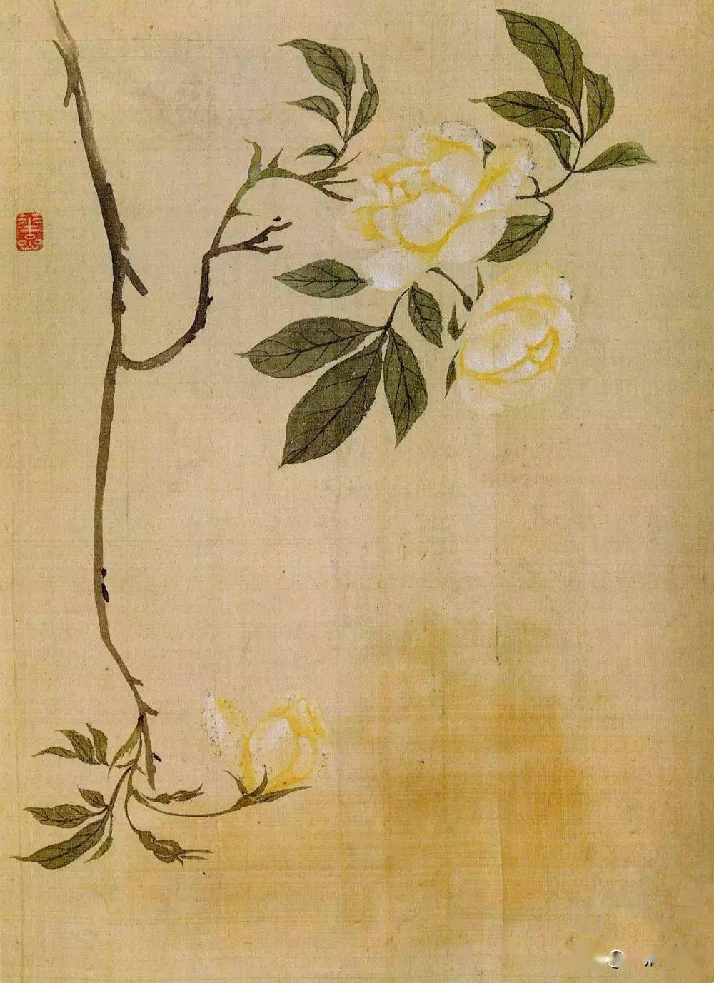 华岩的花鸟画独辟蹊径令人耳目一新