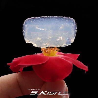 身材能抵御零下低温的工装裤！1条暖过3条秋裤，还又飒又显瘦