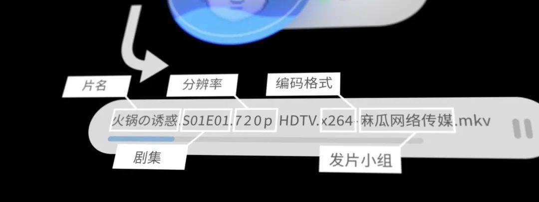 你看的盗版电影都是从哪儿来的？