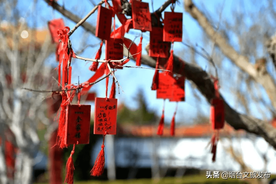 海鸥|葫芦里供的是八仙景，葫芦外追的是八仙境