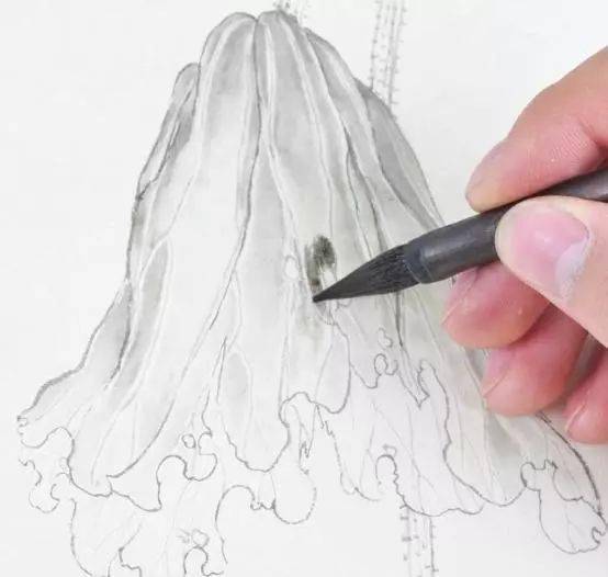 勾出枯茎,在其上多画一些褶皱的线条来表现出枯败的感觉.