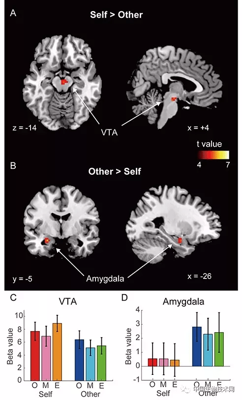 脑科学日报少突胶质细胞通过外泌体sirt2增强轴突能量代谢