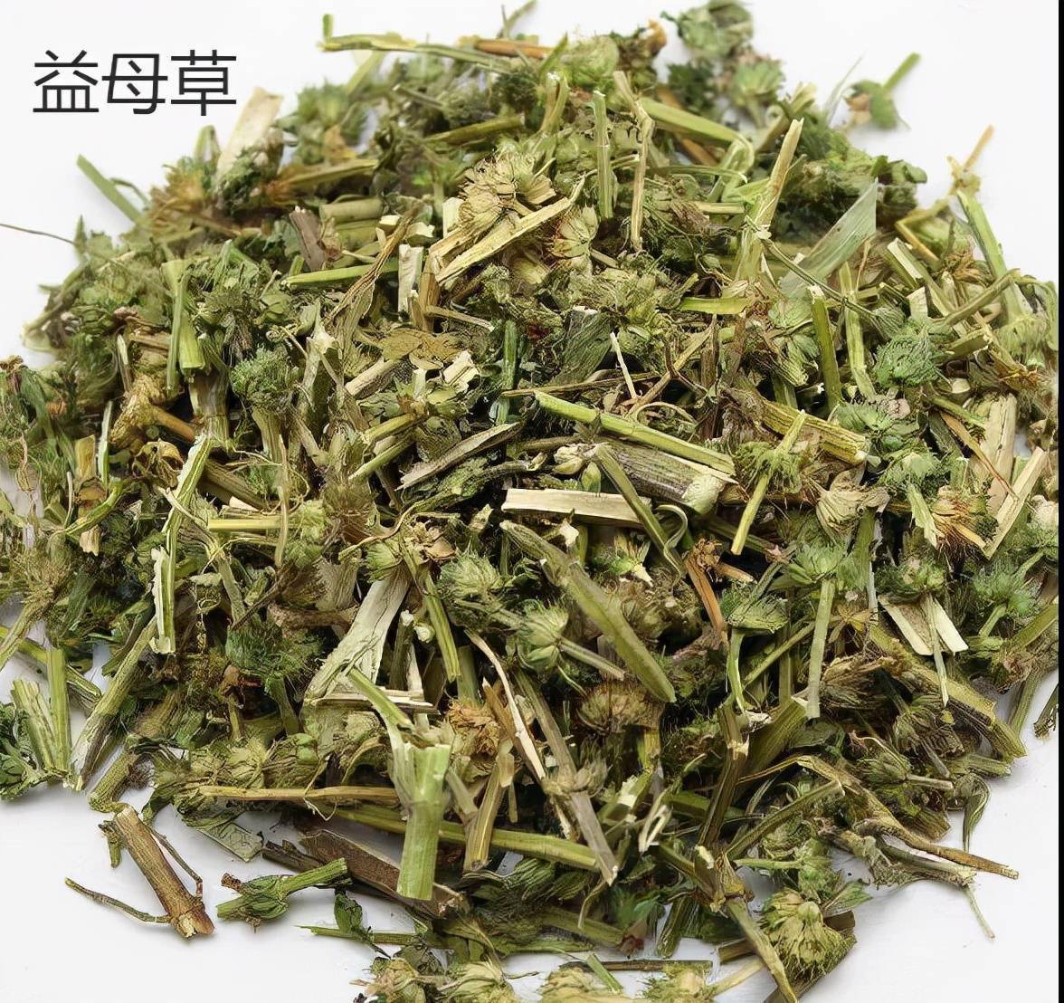 学习一味中药益母草