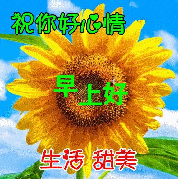 11月16日早上好动态表情图片大全,早晨好动图美图大全_生活