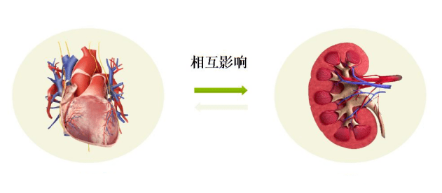 包括急性冠脉综合征,心脏代谢健康,肿瘤心脏病学,心力衰竭,肾病等在内