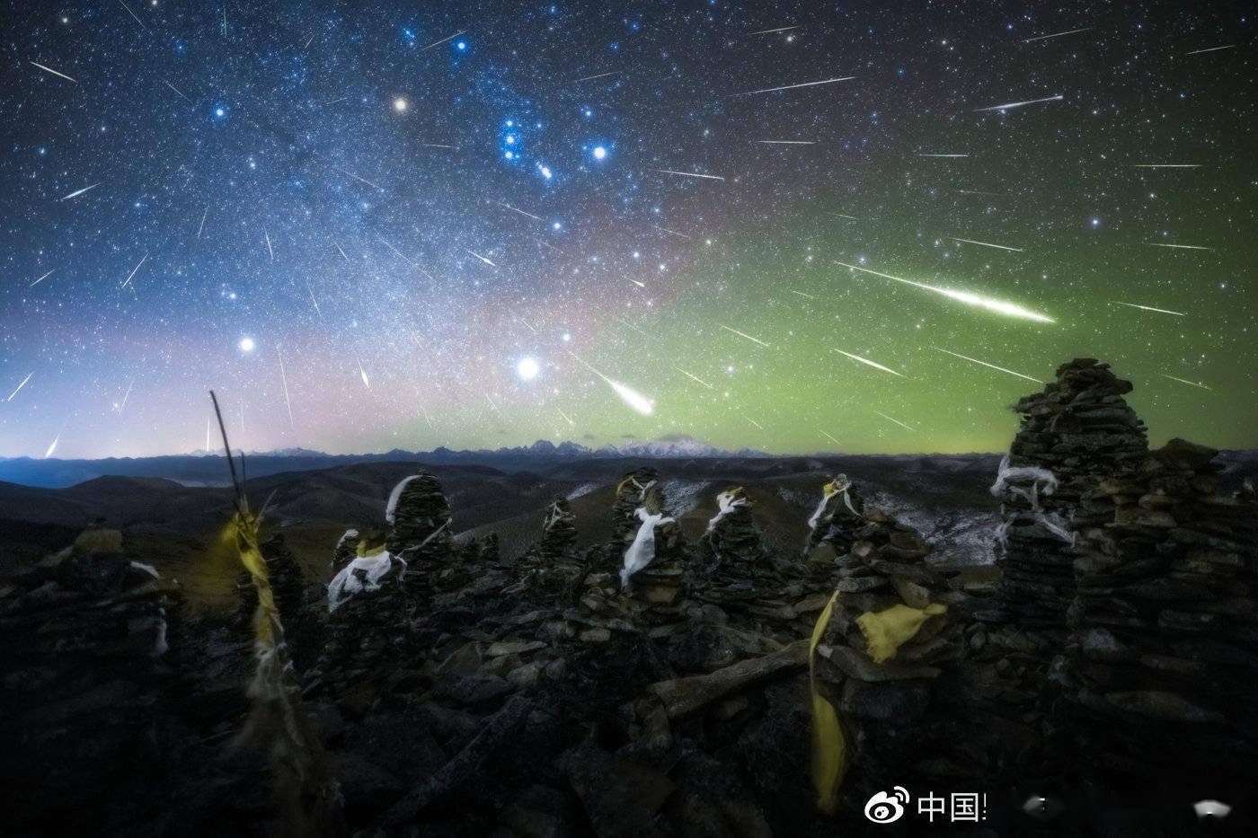 2021中国野生生物影像年赛摄影作品揭晓：感受生命力量