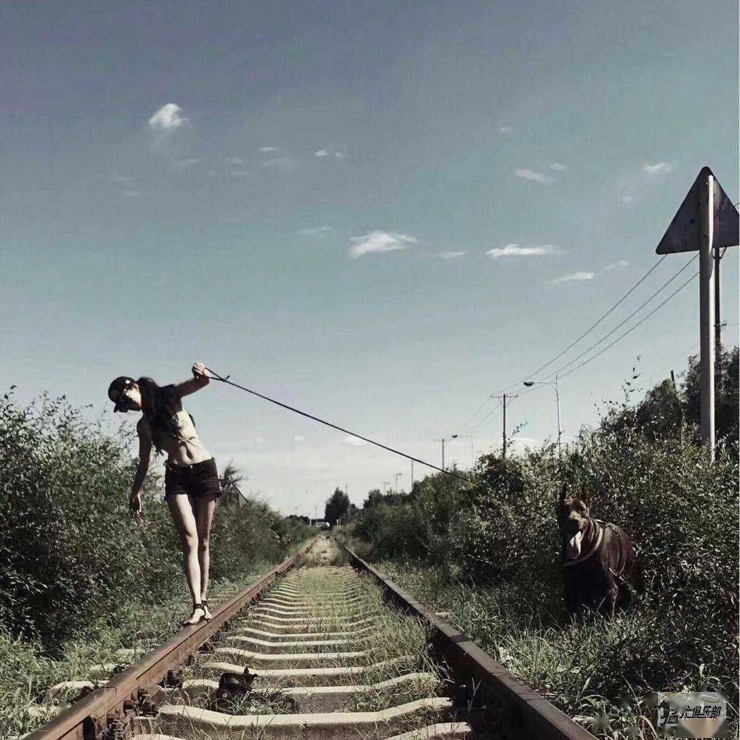 先来一波国外大片:说起最适合女孩养的猛犬,那么杜宾一定是被提起最多