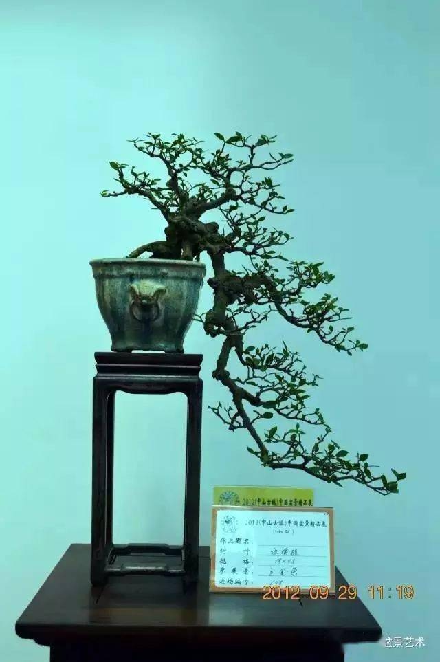 水横枝,禅意枝_作品