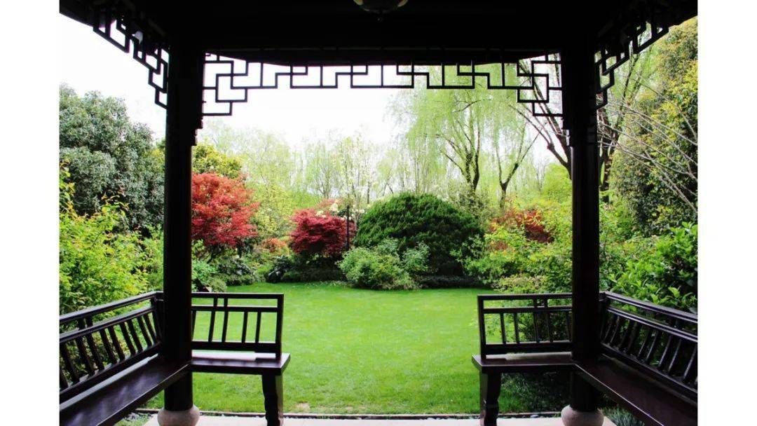 营造课堂最美酒店杭州西子湖四季酒店庭院景观营造