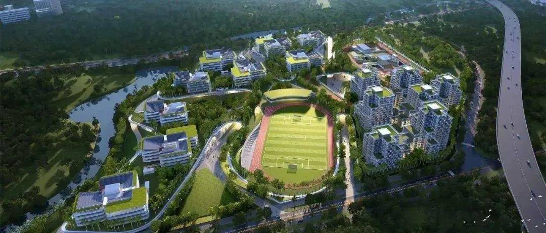 重磅利好!深圳优质教育资源东进拉开序幕_高中园