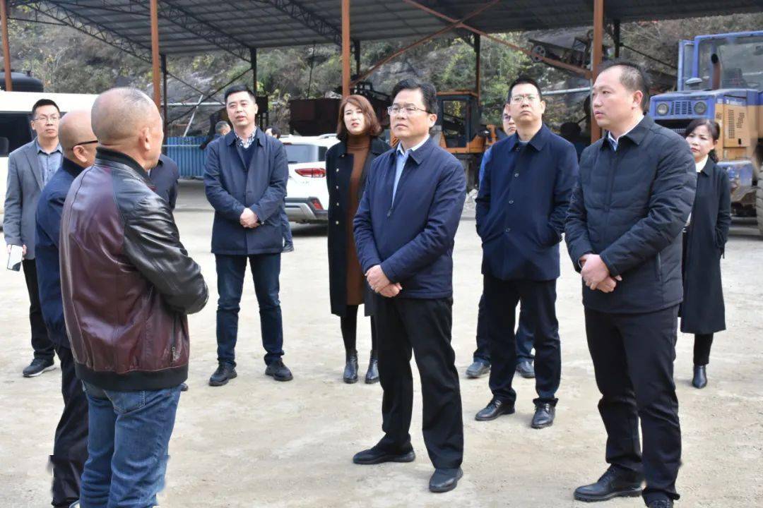 李全成专题调研石英砂项目建设工作