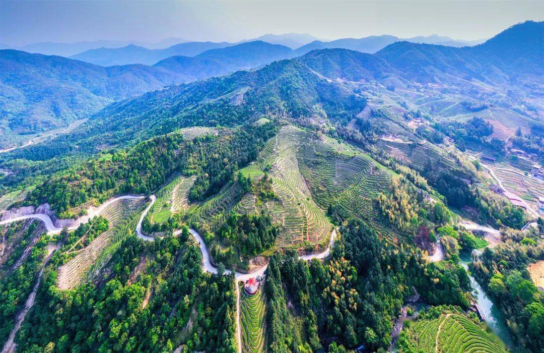 来诗画边城福田乡邂逅一场芦柑采摘节