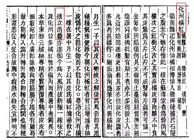 拍卖|严选 | 喉咙灭火器！一颗被拍卖3.8万元的“皇家圣品”化橘红，润喉好舒服