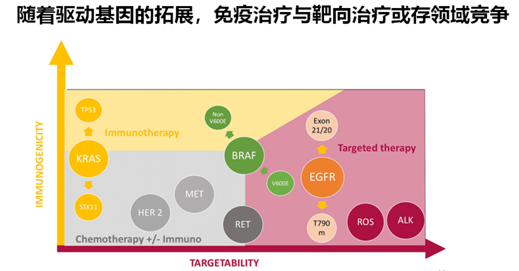 我國多中心研究回答臨床關注話題:免疫檢查點抑制劑能否在her2突變肺